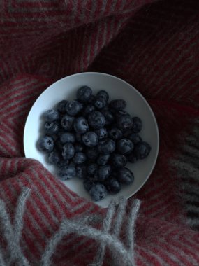 Kırmızı yün ekose, yumuşak ışık ve rahat bir ruh halinde beyaz bir seramik kasede yabanmersini.