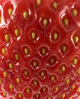 Yüzey dokusunu ve sarı tohumları en ince ayrıntısına kadar gösteren taze bir çileğin uç makrosu. Doğal desen ve kırmızı deri sağlıklı yiyecekler, malzeme altyapısı ve organik doku tasarımı için ideal görseller sağlar.