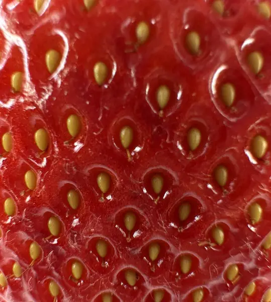 Olgun bir çileğin aşırı yakın makro görüntüsü kırmızı derinin detaylı dokusunu ve öne çıkan sarı tohumları ortaya çıkarıyor. Geçmişler için mükemmel, organik doku çalışmaları, doğal gıda görselleri, ya da malzeme yakın çekimleri