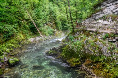 Vintgar Vadisi 'ndeki harika yürüyüş rotası Slovenya, Triglav Ulusal Parkı