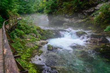 Vadideki derenin yanındaki yürüyüş yolu - Slovenya, Triglav Ulusal Parkı