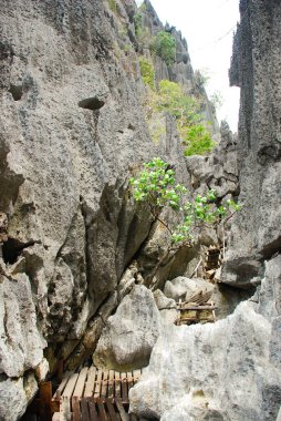 Kayangan Gölü 'ne yürüyüş yolu - Filipinler, Coron Adası