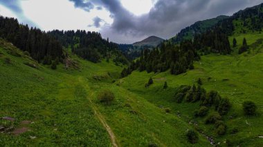 Bu resim geçitten geçen yolu gösteriyor, Şymkent Dağı 'nın zirvesine yükseliyor.