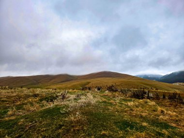 Fotoğraf arka planda dağlar olan bir açıklık gösteriyor.