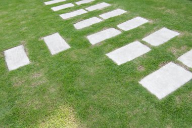 Bahçedeki yeşil çimlerin üzerinde yürüyüş yolu..