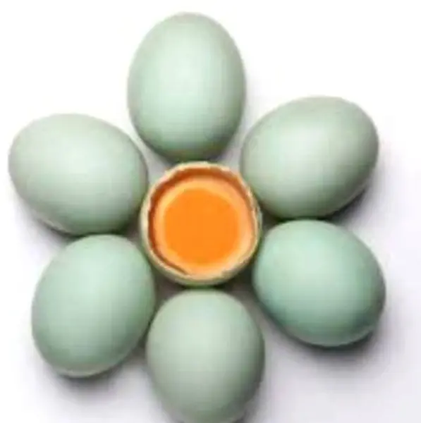 Çiçek desenli, ortasında canlı sarı sarısı olan yumurtaların yaratıcı bir bileşimi. Yemek, yaratıcılık ve Paskalya temalı kavramlar için eşsiz ve çarpıcı bir tasarım.