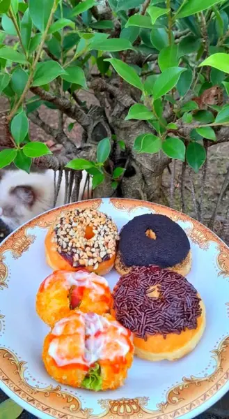 Arkaplanda ağaçlar ve yapraklarla süslenmiş dört lezzetli donut tabağı huzurlu bir ortam yaratıyor..