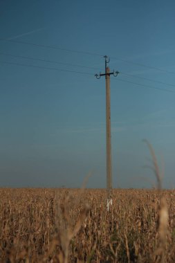 Mavi gökyüzü olan güzel bir tarla görüntüsü.