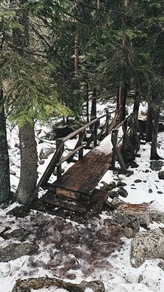 Ormandaki güzel manzara ahşap köprü