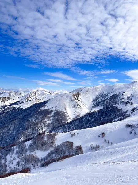 Kışın dağları güneşli topraklarda