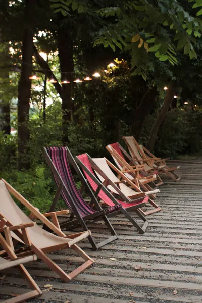 Ormanda ahşap sandalyeler.