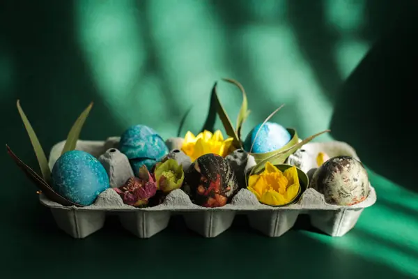 Sahne yumuşak doğal ışıkla yıkanır, yeşil arka planda sanatsal gölgeler oluşturur, ilkbahar ve şenlikli bir atmosfer yaratır. Kutudaki Paskalya yumurtalarının. Yüksek kalite fotoğraf