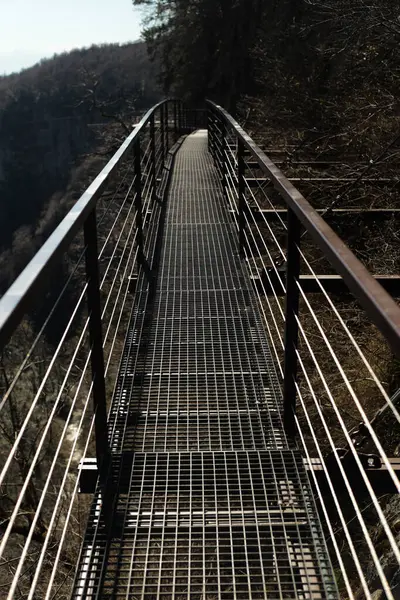 Derin bir kanyonun üzerinde uzanan parmaklıkları olan metal bir köprü manzarası. Şebeke yapısındaki güçlü geometrik desenler, çevreleyen sert doğayla tezat oluşturuyor..