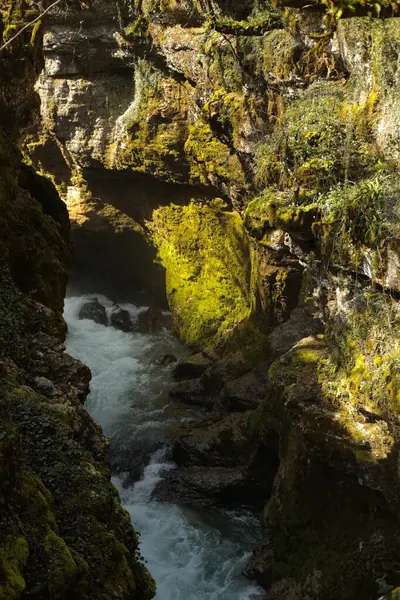 Engebeli yosun kaplı kanyon duvarları arasında akan turkuaz bir nehrin büyüleyici görüntüsü.. 