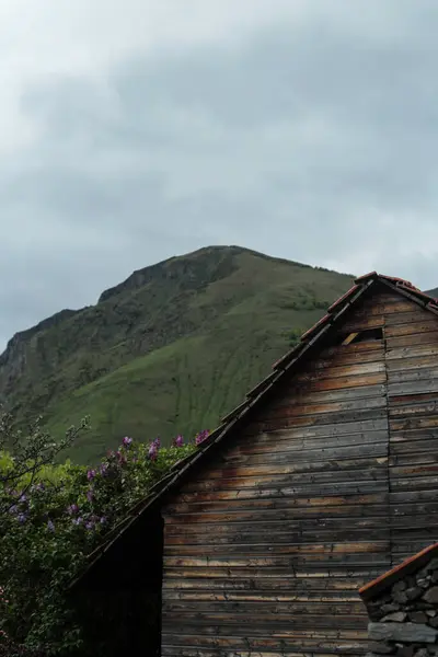 Kırsal bir ahşap kulübe soluk bir gökyüzünün altında yeşil dağ sırtı olan çiçek açan leylak çalılarının arasında duruyor. Georgia kırsalından huzurlu bir kır manzarası.. 