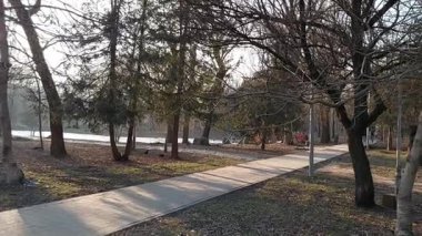 Huzurlu bir park yolu boyunca sakin su manzarası ve nihai rahatlama için doğanın rahatlatıcı sesleri eşliğinde sakin bir yürüyüş.