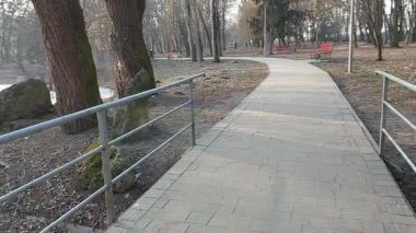 Parkın kalbine yerleşmiş küçük bir gölün huzur dolu güzelliğini keşfedin. Rahatlamak, doğa yürüyüşleri ve huzurlu anları yakalamak için mükemmel.