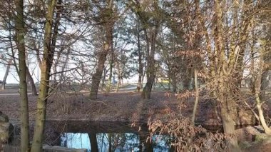 Parkta usulca akan bu kristal berraklığında rahatla. Bu huzurlu kaçışın huzur veren manzarasının ve doğanın rahatlatıcı seslerinin tadını çıkarın..