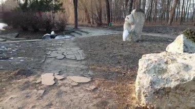 Parktaki kaya, doğanın, sonsuz güzelliğin ve sonsuz gücün çarpıcı bir sembolü.