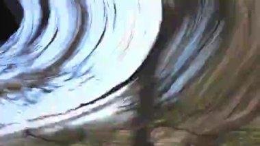 İnsansız hava aracımın beklenmedik bir şekilde dalışını ve ağaç tepelerinde mahsur kalışını izleyin. Onu geri alma mücadelesi başlıyor. Yaşayacak mı?