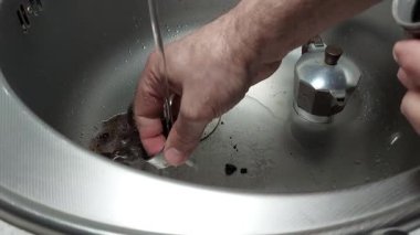 Kahve makineni taze tut. Temizlemek için hızlı ipuçları. Her seferinde mükemmel demlensin diye.