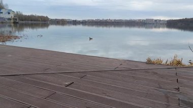 Huzuru sakin gölde yaşayın. Şehir manzarası, büyüleyici ördekler ve saf barış.