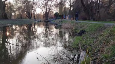 Sakin nehir kıyısında köpeğimle huzurlu bir yürüyüş. Tamamen sakinim..