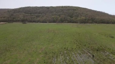 İnsansız hava aracı orman tepe örtüsünün üzerinde zarifçe süzülürken nefes kesici dağ manzaraları keşfedin.