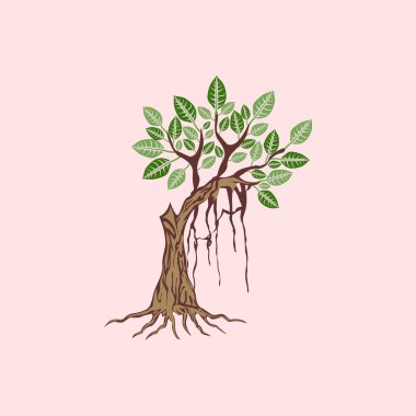 Pembe arka planda yeşil yaprakları ve kökleri olan bir ağaç tasviri. ağaç simgesi tasarımı, henüz çok büyük olmayan bir banyan ağacının tasarım elementi çizimi.
