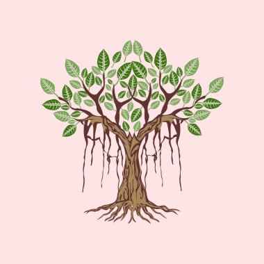 Pembe arka planda yeşil yaprakları ve kökleri olan bir ağaç tasviri. ağaç simgesi tasarımı, büyük bir banyan ağacının tasarım elementi çizimi. Banyan ağacı tasviri