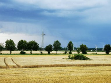 Ufukta uzanan altın buğday tarlası dramatik fırtınalı gökyüzünün altında güneş ışınlarının içinden geçtiği kara bulutlarla birlikte. Yüksek kalite fotoğraf