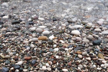 Çeşitli renk ve dokuları gösteren kumsal çakıl taşlarının fotoğrafı. Doğal arka plan. Çeşitli yaratıcı projeler için. Yüksek kalite fotoğraf
