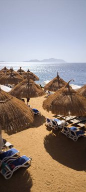 Sıralar halinde sazdan şemsiyeler ve rahat güneş şezlongları olan tropikal bir sahil sizi açık denizlere ve açık gökyüzüne karşı parlak güneşin altında dinlenmeye davet ediyor.