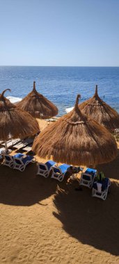 Sıralar halinde sazdan şemsiyeler ve rahat güneş şezlongları olan tropikal bir sahil sizi açık denizlere ve açık gökyüzüne karşı parlak güneşin altında dinlenmeye davet ediyor.