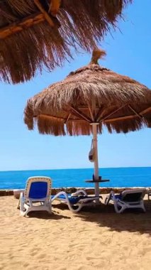 Boş bir mavi güneşlik seni altın kumda dinlenmeye davet ediyor, bir kamış şemsiyesi ve bir palmiye ağacı tarafından kısmen gölgelendiriliyor..