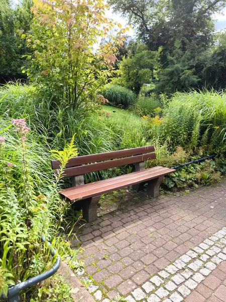 Bir yaz parkında yemyeşil yemyeşil bir yerde rahatlamak için ahşap bir bank.