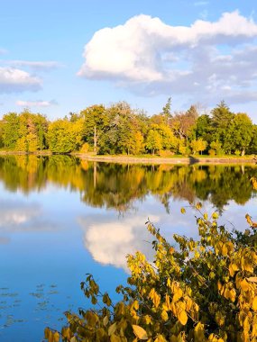 Kabarık beyaz bulutlar, geniş bir ağaç yığını ve parlak mavi bir gökyüzü gölün sakin sularına mükemmel bir şekilde yansıyor. Güneş tarafından aydınlatılan sarı yapraklı çalıların dalları sonbaharın gelişini simgeliyor..