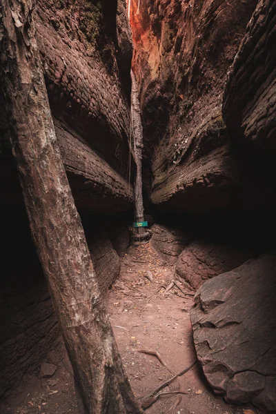 Naka Grotta Jättestor Orm Skala Sten Nationalparken Phu Langka Buangkan — Stockfoto