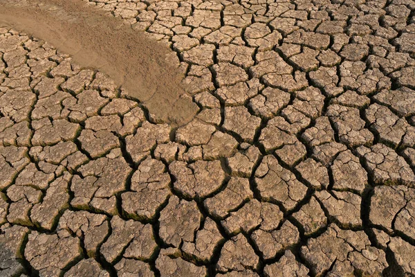 Crise Água Seca Rachaduras Profundas Terra Simbolizam Clima Quente Seca — Fotografia de Stock