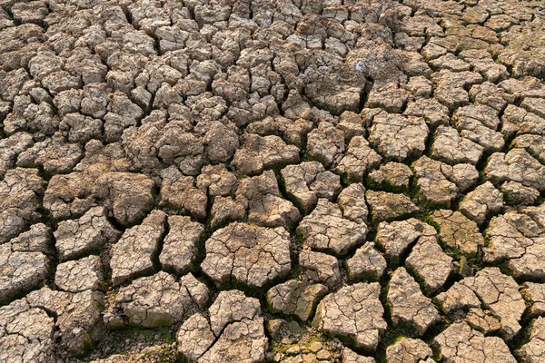 갈라지게 하는건 한물위기는 가뭄을 상징한다 — 스톡 사진