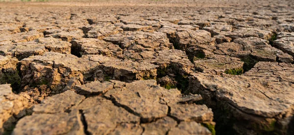 Dry water crisis deep cracks land symbolize hot weather and drought
