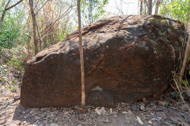 Naka mağarası dev yılan ölçeği taşı. Buangkan Tayland, Phu Langka Ulusal Parkı 'nda..