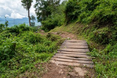 Phu Kradueng Ulusal Parkı, Loei Eyaleti Tayland.