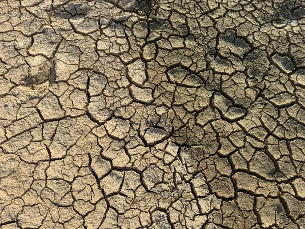 Cracked earth texture of the dried earth with clay and sand severe drought of the global warming planet.