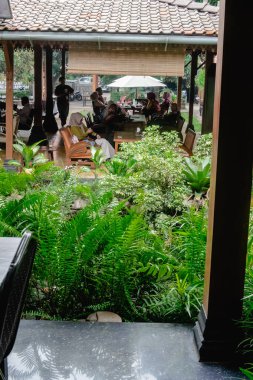 Parktaki ahşap bir evin yakın plan çekimi.