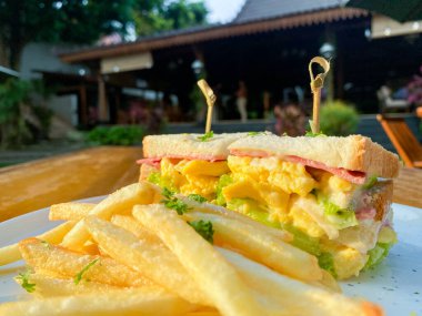 Sandviçi kapatın, arkasında patates kızartması ve peynir olsun.