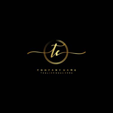 TE harfi zarif ve sofistike el yazısı logo vektörü