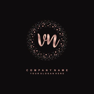 VN Luxury initial handwriting logo template, logo for beauty, fashion, wedding, photography clipart