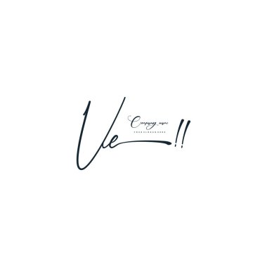 VE letter calligraphic Minimal monogram emblem style vector logo clipart