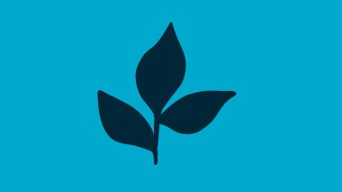 Üç yaprak mavi ana hatlı tasviri izole etti. İnce çizgi işareti. Fesleğen yaprakları renk arkaplan resimlemesinde izole.